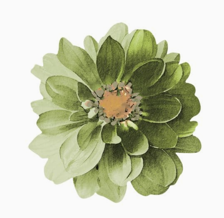 Thumbnail: Davanti - Placemat Dahlia Flower set of 4
