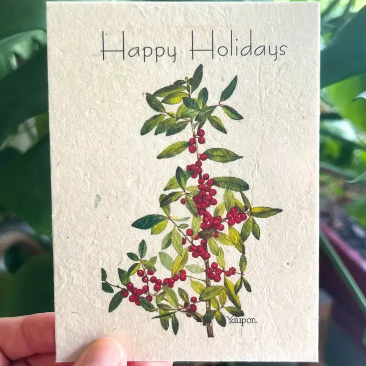 Thumbnail: Wildflower Seed Card || Zero Waste