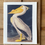 Thumbnail: Bat Flower Press - American White Pelican Handmade Greeting Card