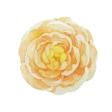 Davanti - Spring Summer Placemat Round Roses set of 4