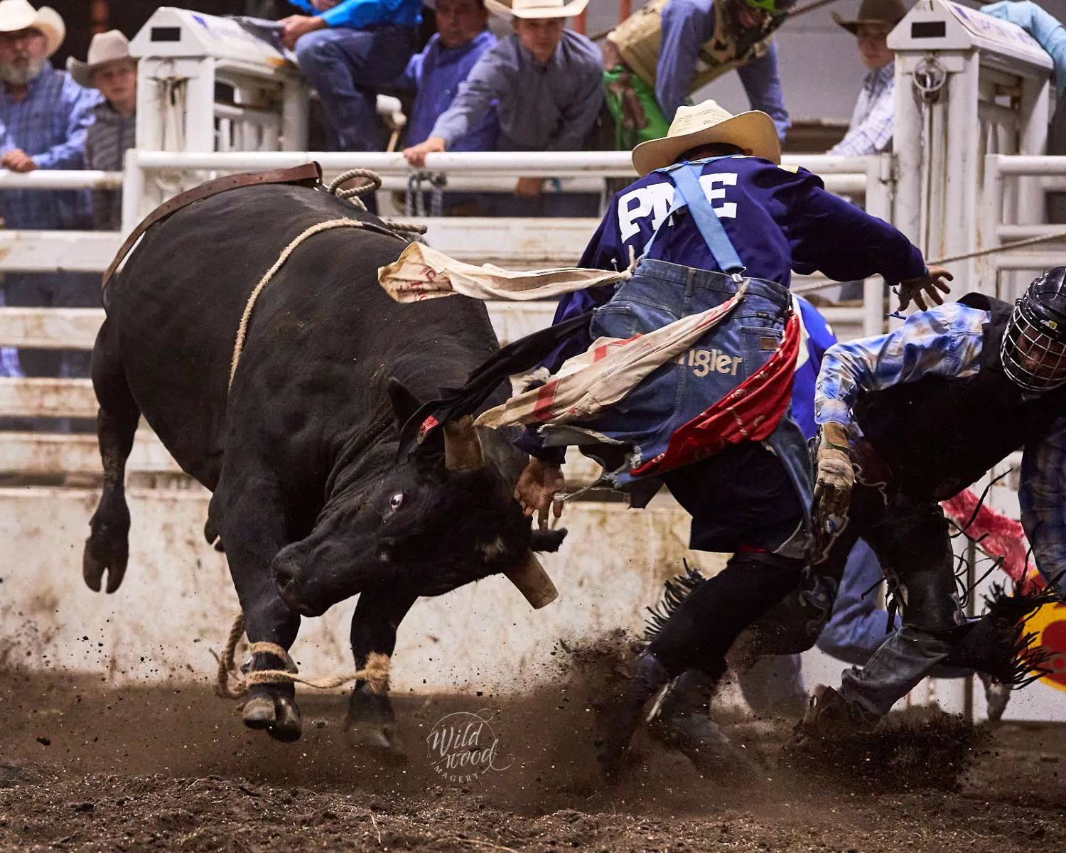 2022 bull fighter.webp