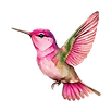 Untitled design (16).png