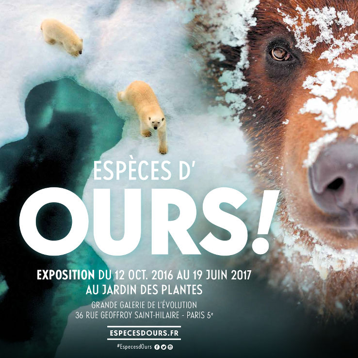 Espèces d'ours !