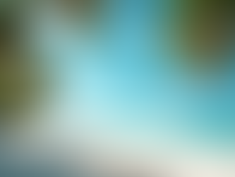 Eye-level view of white sandy beach with turquoise water and palm trees