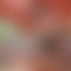 images of canary club in bonita springs