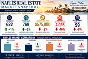 Graphic of monthly metrics for Naples real estate market