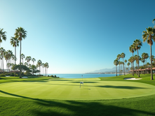 Eye-level view of a golf course with palm trees and a clear blue sky