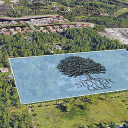 silver oaks