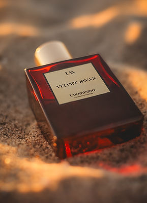 Velvet Swan
