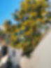 462558134_1062049702315209_3842591506852173663_n_edited.jpg