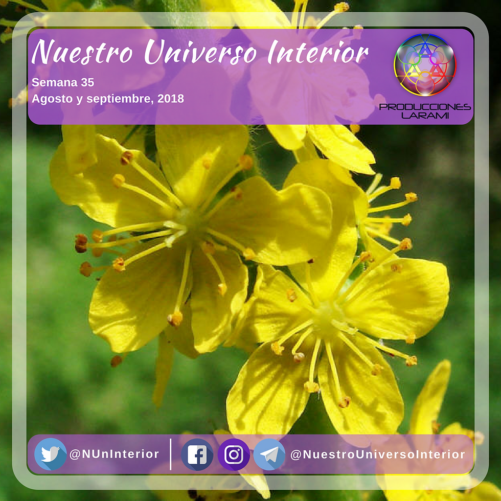 NUESTRO UNIVERSO INTERIOR Semana35