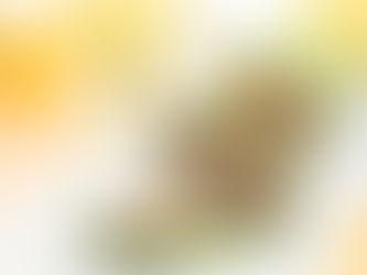 קייטרינג חלבי לאירועים קטנים