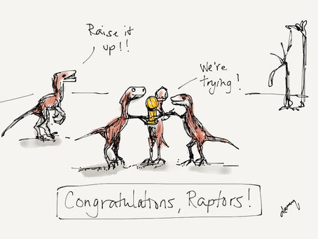 #raptors #wethenorth