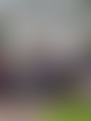 Firande av Helige Nikolaos dag i klostret