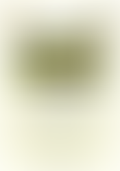 «Τὸ Στάδιον τῶν Ἀρετῶν Ἠνέωκται...»