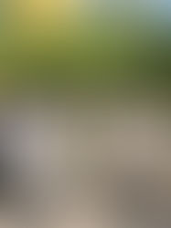 Rapport från biskopsbesök i maj 2025