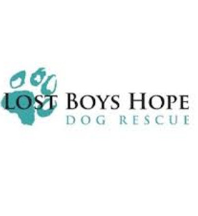 Lost Boys Hope