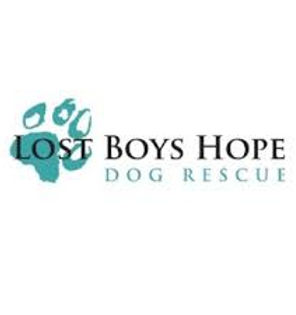 Lost Boys Hope