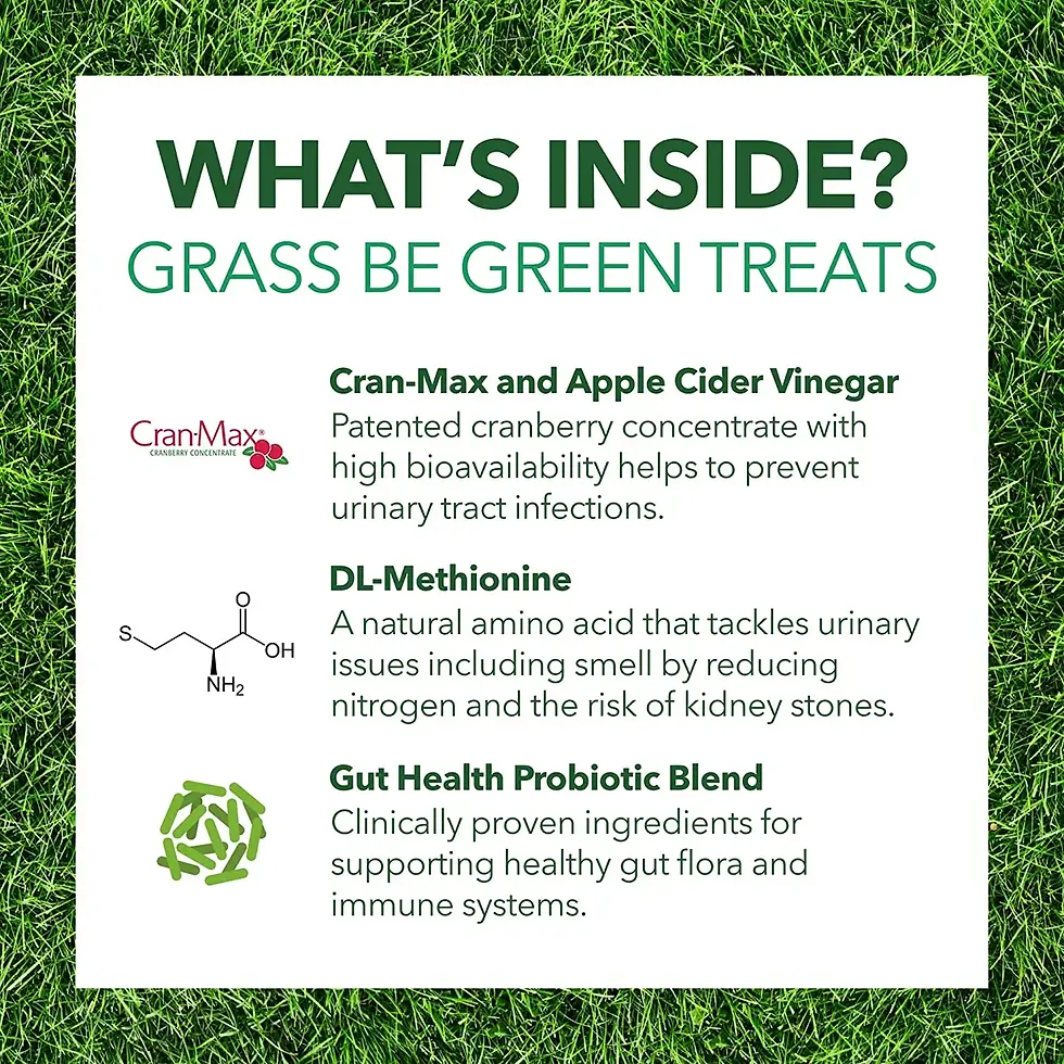 Thumbnail: Petpal - Green Grass Urine Soft Chew Treats For Dogs