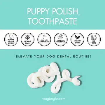 Thumbnail: Wag & Bright - Puppy Polish Toothpaste Filet Mignon (Beef)