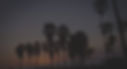 back_edited.jpg