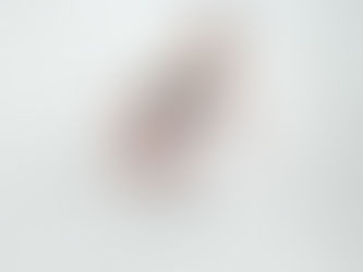 Photoshoot: Kendall Rise