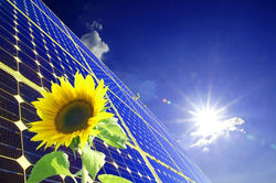 Greener solutions LLC