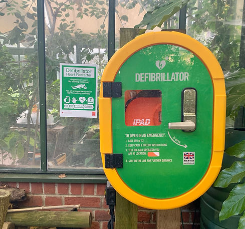 Defib picture copy.jpeg