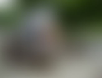 What Altar do I need?