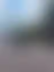 Mãe e filho morrem após colisão frontal entre carro e caminhão na BR-386, em Carazinho