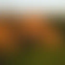 Governo anuncia R$ 16,6 milhões em investimento na região das Missões