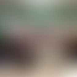 MDB de Jaguari celebra 60 anos com reunião festiva, homenagens e anúncio de novas conquistas