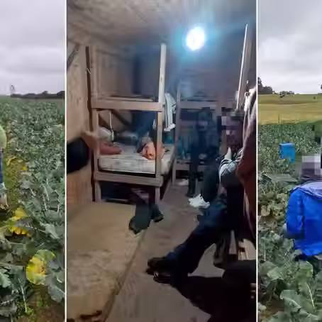 Indígenas são resgatados de condições análogas à escravidão em lavoura no RS