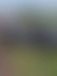 PRF atende acidente de trânsito com lesões em São Luiz Gonzaga