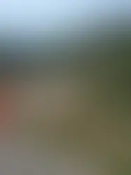 RS tem 85 municípios com danos após temporal, aponta Defesa Civil
