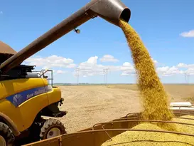 Ministério da Agricultura prepara novo modelo para seguro rural