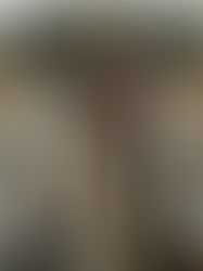 Alegrete | Grávida é espancada e estuprada; autor é preso em flagrante pela Brigada Militar