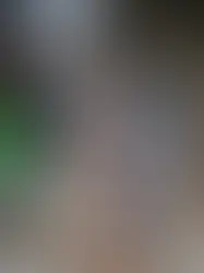 Geada e temperaturas abaixo da média nesta quarta-feira, no RS.