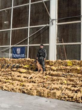 PM apreende 48 toneladas de maconha na Maré em operação histórica no Rio de Janeiro
