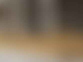 PM apreende 48 toneladas de maconha na Maré em operação histórica no Rio de Janeiro