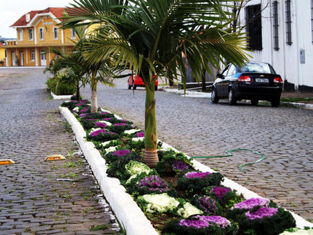 Secretaria de Meio Ambiente de Santiago lança o Projeto Pé na Calçada