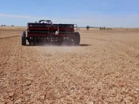 Chuvas já atrasam a preparação dos solos para o plantio do arroz