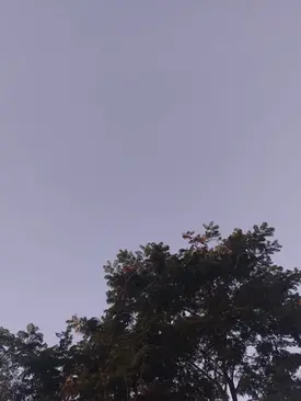 Segunda será de chuva em partes do RS e temperaturas têm leve elevação