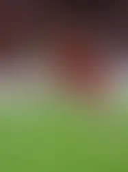  Inter empata em 1 a 1 com o Remo pelo Campeonato Brasileiro