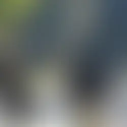Apesar de amanhecer gelado, tarde de sexta-será de sol e temperaturas agradáveis no RS