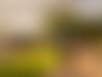 UFSM oferece 1.502 vagas pelo Sisu; inscrições começaram hoje