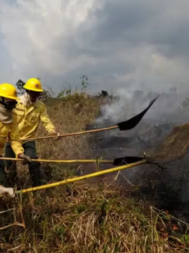 Bombeiros dizem que governo federal negou ajuda contra queimadas no AM; Ministério do Meio Ambiente contesta