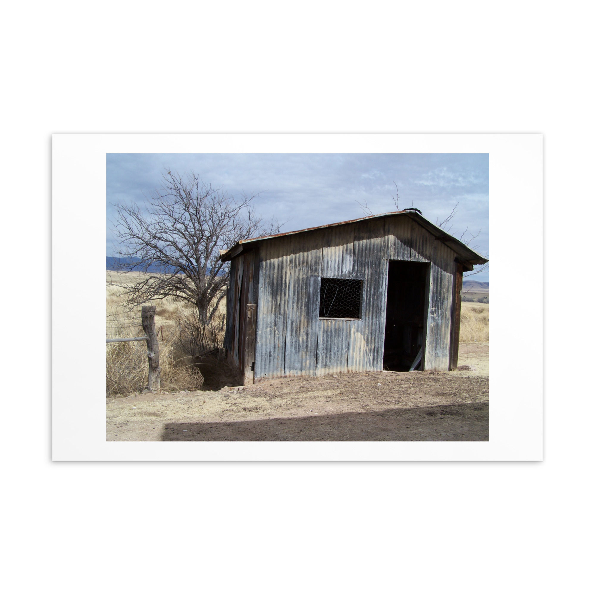 Desert House and Tree