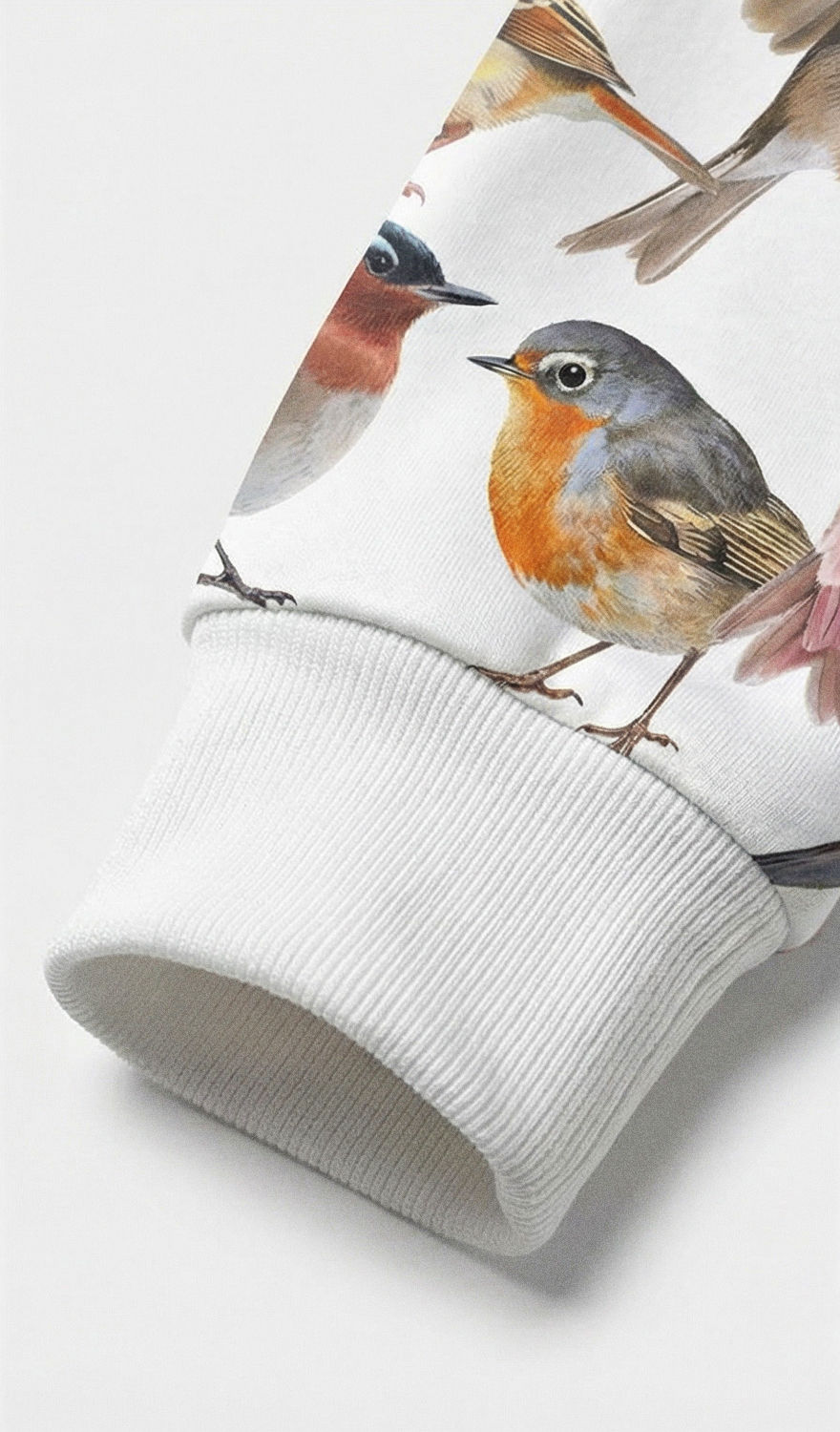 Thumbnail: Birdyard Hoodie