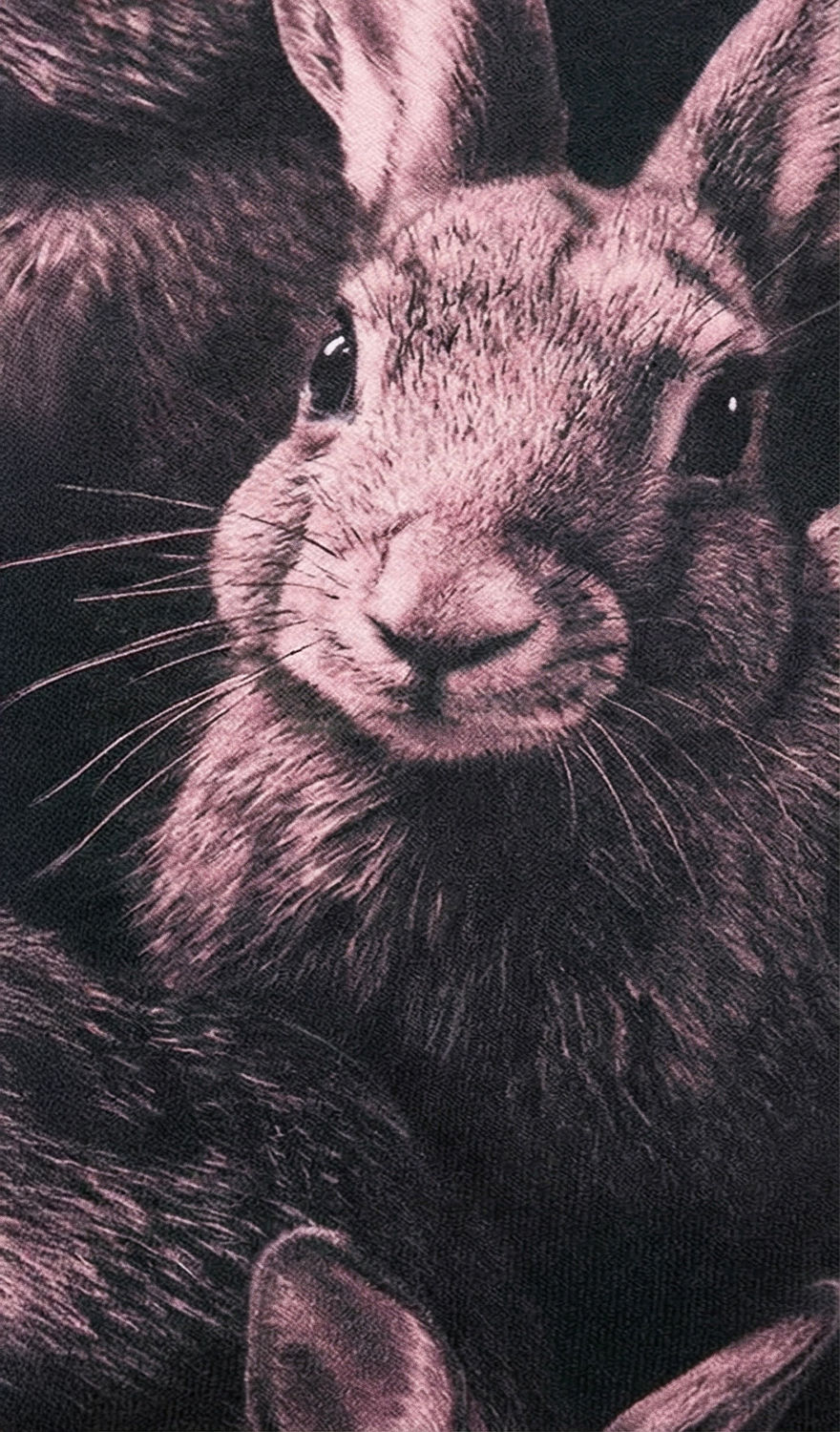 Thumbnail: The Bunnyhug